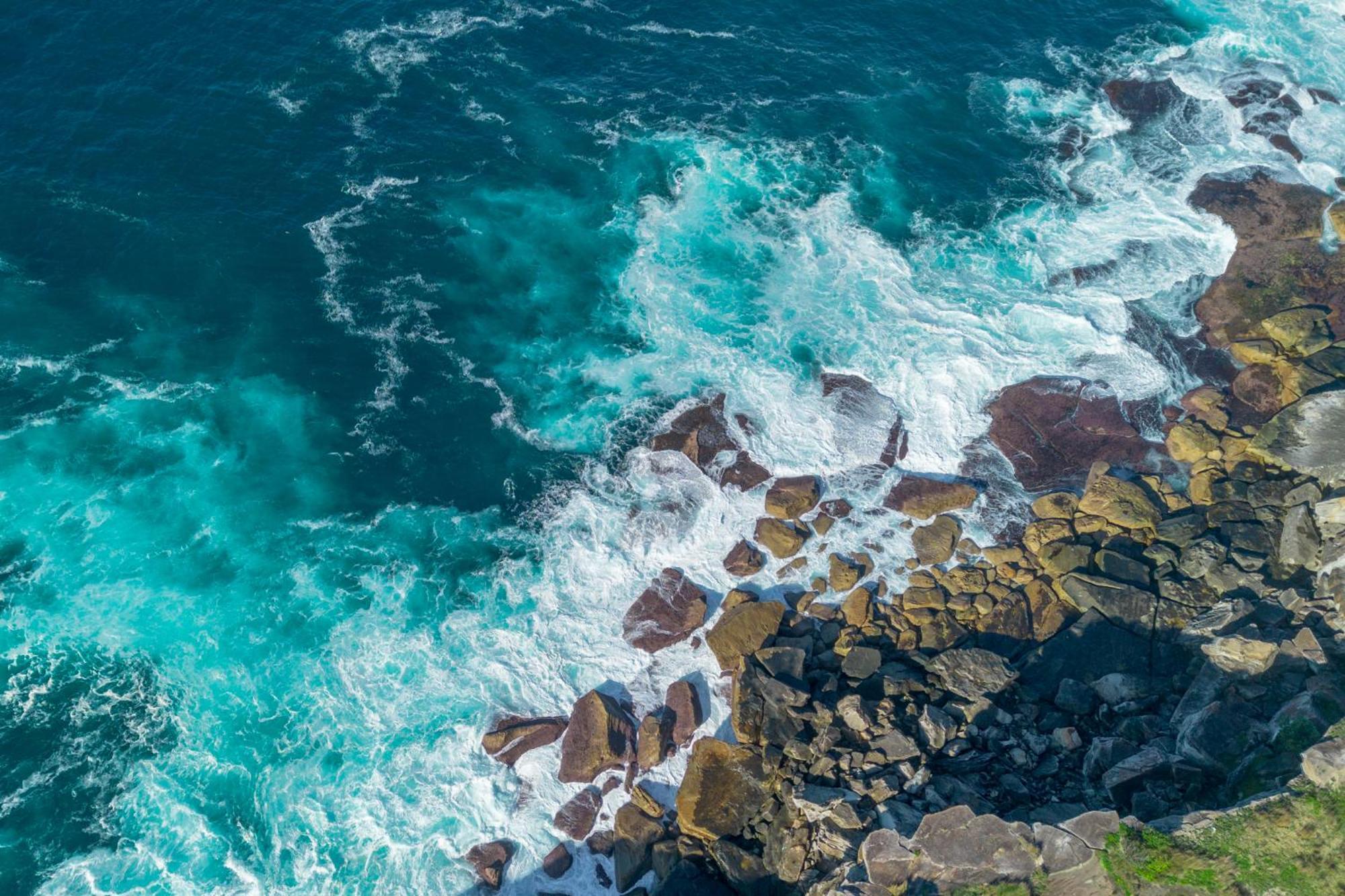 Upscale Cliffside Studio With Ocean Views North Bondi Sydney Eksteriør bilde